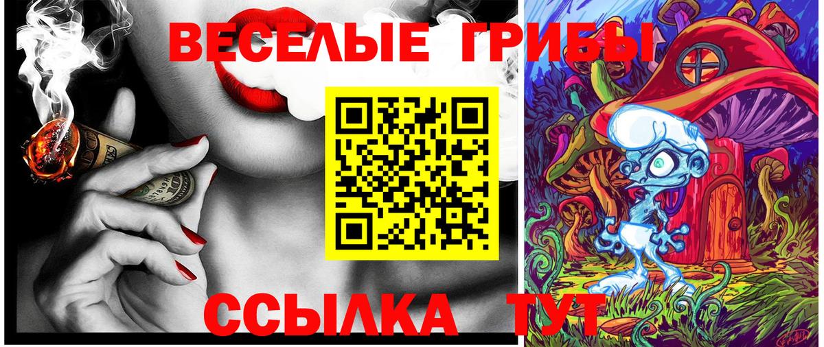 Галлюциногенные грибы Psilocybine cubensis Малоярославец