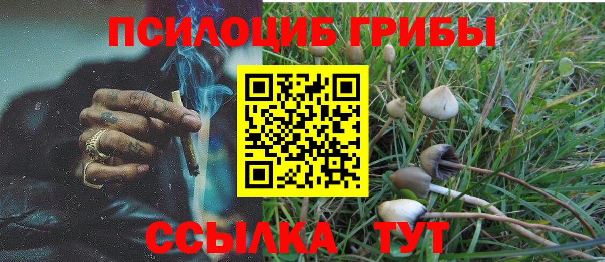 Малоярославец  Галлюциногенные грибы Psilocybe  Псилоцибиновые грибы мицелий  Вход с VPN 